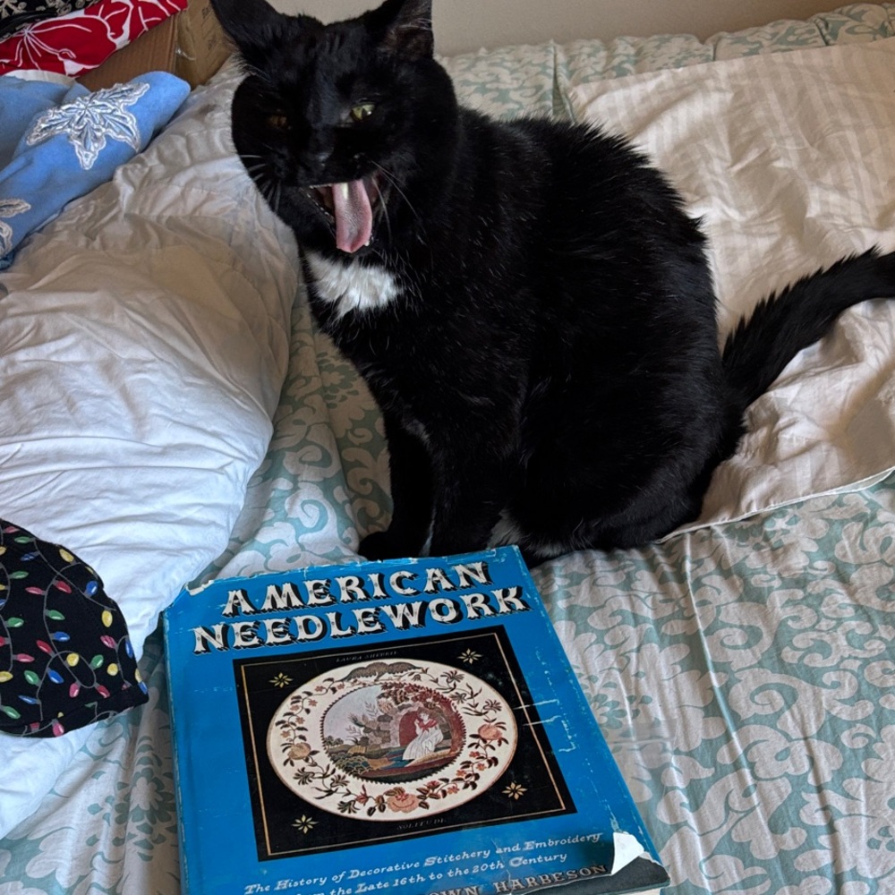 American Needlework Book for Cat Lovers <Posh, you’re drunk!>
